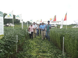 Visita de productores