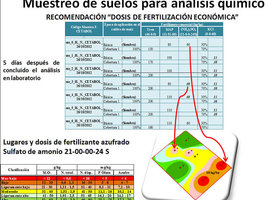 Fertilización de taza variable