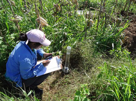 Toma de datos en campo. Infiltracion