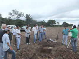 Demostración del perfil al productor en lotes nuevos