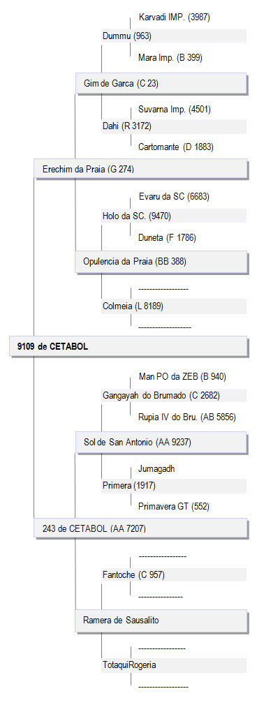 Genealogia 9109