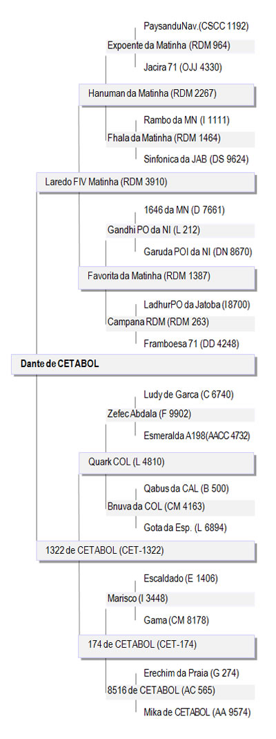 genealogiaDante