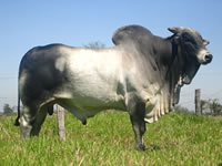 CET-716-TOP-20%