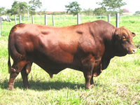 DIVO-DA-AGIR-small