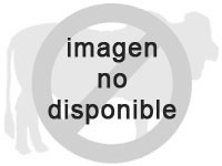 ImagenNoDisponible