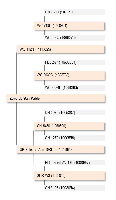 genealogiaZeus