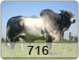 CET-716
