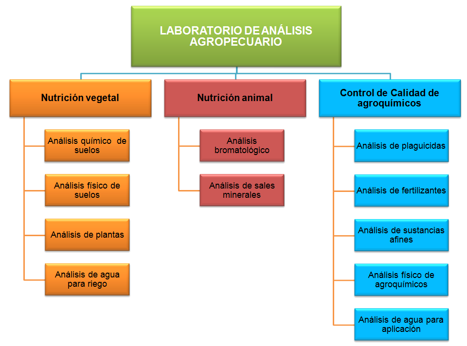Estructura del servicio de Laboratorio - CETABOL