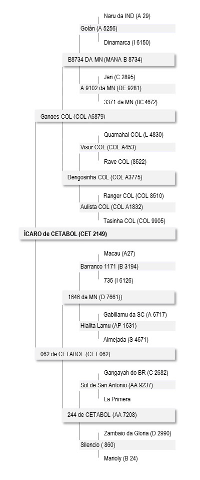 genealogiaIcaro